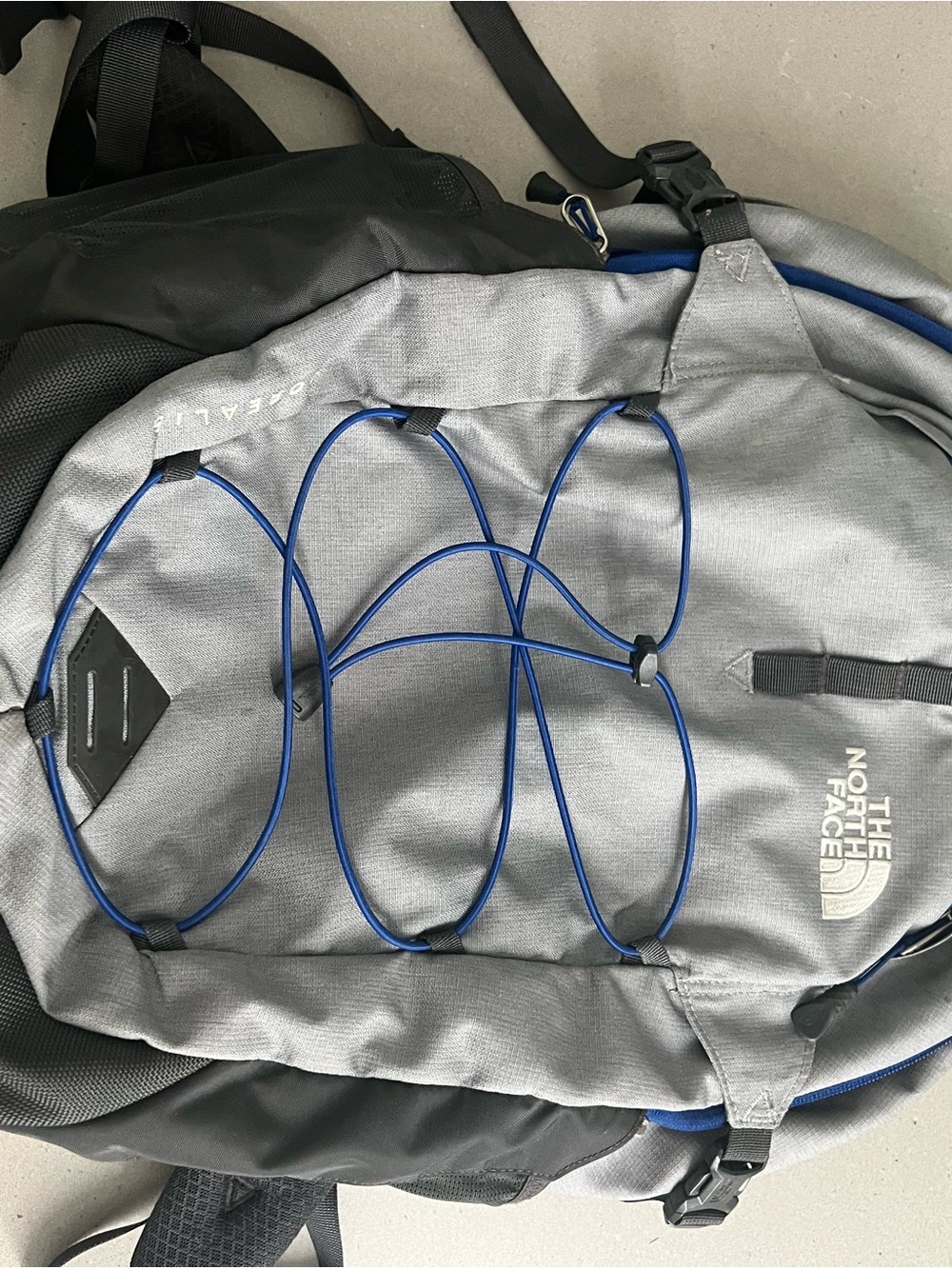The North Face Gray Backpack with Blue Bungee Cord
